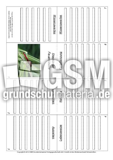 Faltbuch-Feuerlibelle.pdf